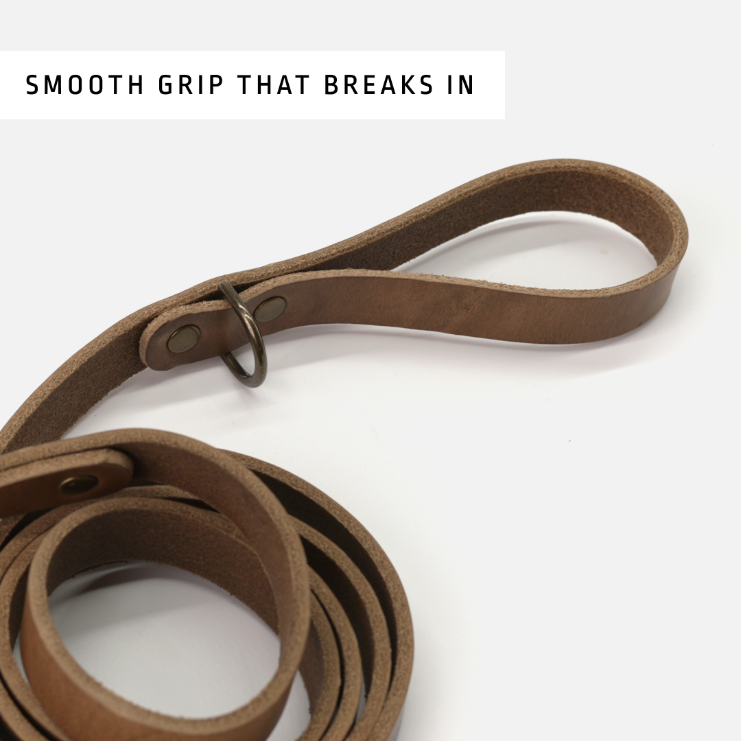 Dog Leash