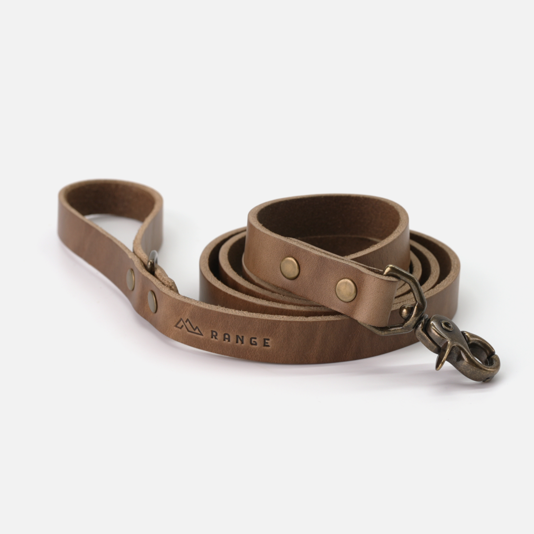 Dog Leash