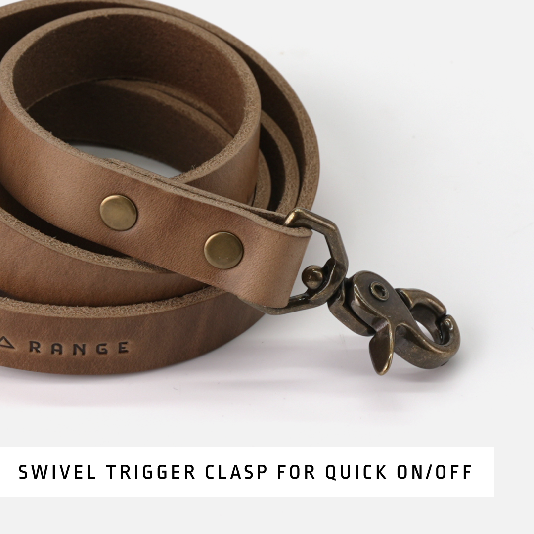 Dog Leash