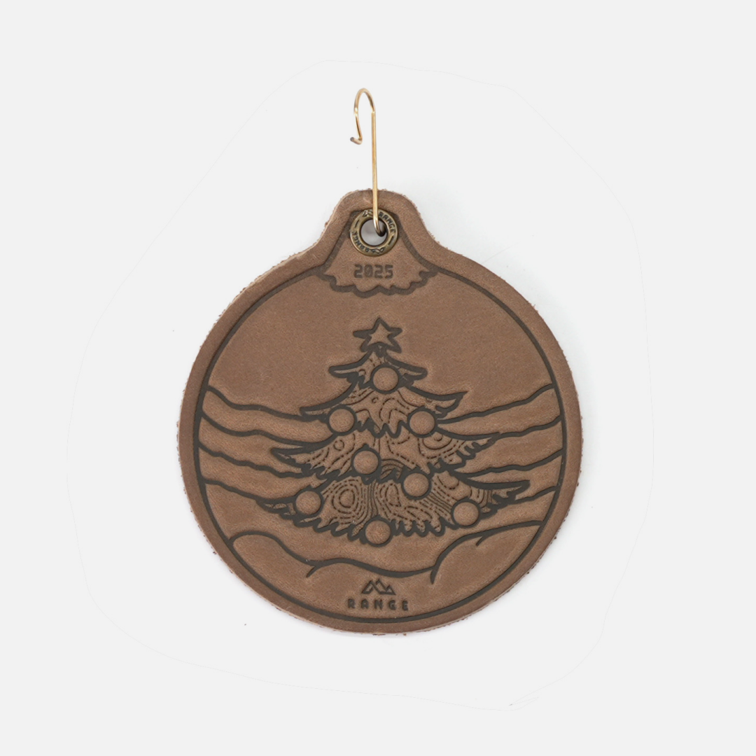 2025 Ornament