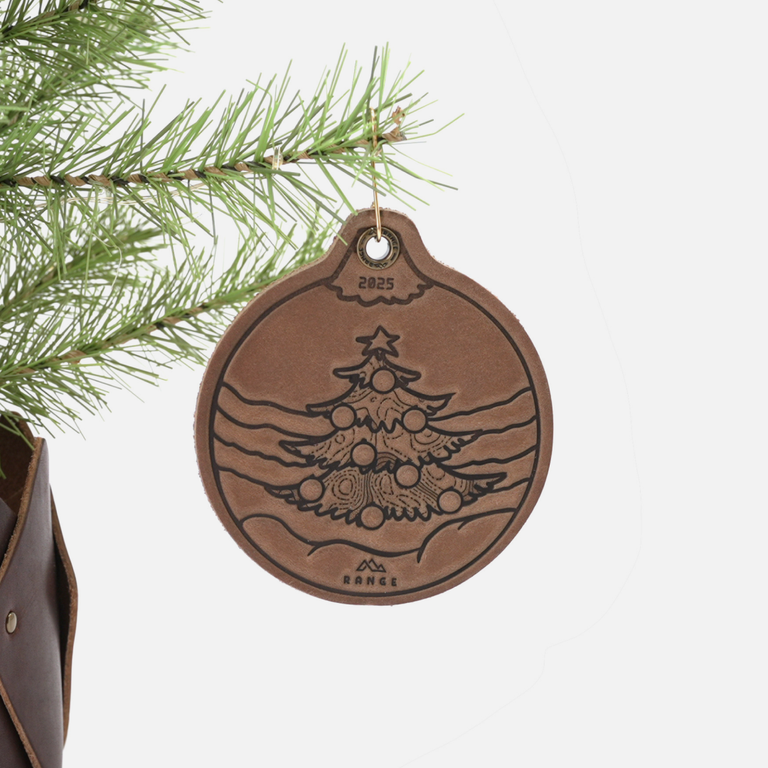 2025 Ornament
