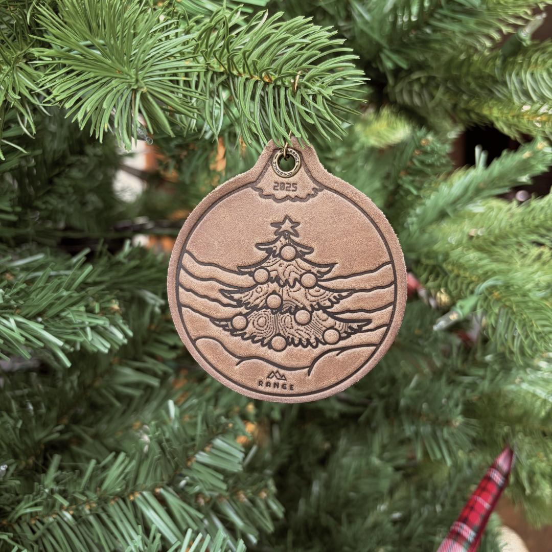 2025 Ornament